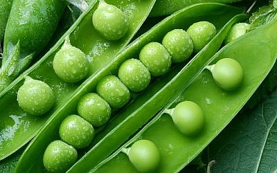 IIllustration:  une cosse de petits pois. (Crédit : ValentynVolkov; iStock by Getty Images)