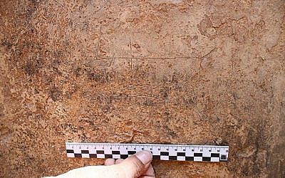 Des navires et des formes animales gravées découvertes durant une fouille archéologique par l'Autorité israélienne des antiquités à Beer Sheva pendant l'été 2018 (Crédit : Davida Eisenberg-Degen/IAA)