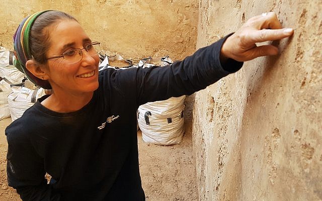 La docteure Davida Eisenberg-Degen, spécialiste des dessins et de l'art de la pierre au sein de l'Autorité des antiquités israéliennes (Crédit : IAA) La docteure Davida Eisenberg-Degen, spécialiste des dessins et de l'art de la pierre au sein de l'Autorité des antiquités israéliennes (Crédit : IAA)
