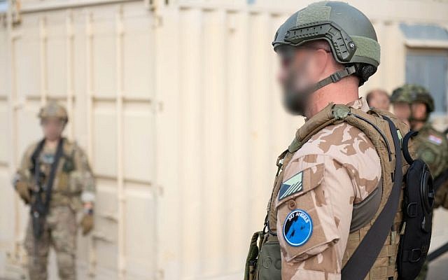 Des troupes d'élite de recherche et de sauvetage de six pays s'entraînent en Israël dans le cadre de l'exercice "Sky Angels" en novembre 2018. (Armée israélienne)