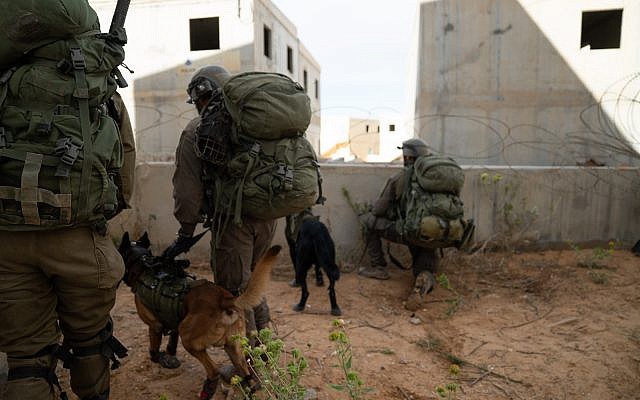 Des soldats de la brigade d'infanterie Kfir avec des troupes de l'unité canine Oketz durant un exercice de simulation de guerre contre le groupe terroriste du Hamas dans la bande de Gaaza, en novembre 2018. (Crédit : Israel Defense Forces)