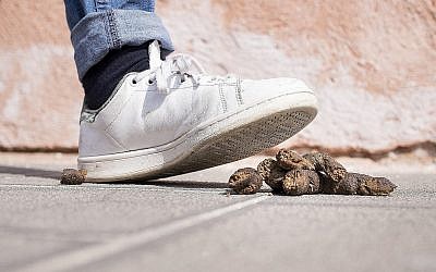 Photo d'illustration d'un excrément de chien (Crédit : C_FOR; iStock by Getty Images)