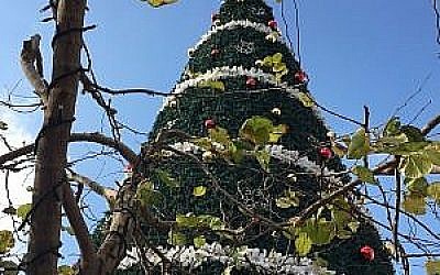L'arbre de Noël de Fassuta, à côté de l'église Mar Elias. (Crédit : Federico Maccioni/ Times of Israel) L'arbre de Noël de Fassuta, à côté de l'église Mar Elias. (Crédit : Federico Maccioni/ Times of Israel)