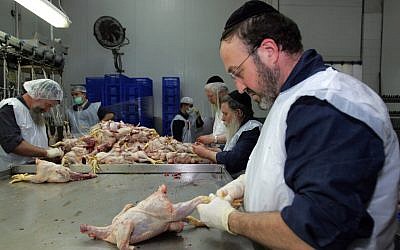 A titre d'illustration : Des rabbins juifs orthodoxes nettoient des poulets abattus dans une usine de poulets de Jérusalem, le 20 mars 2006, à Jérusalem, Israël. (Paula Bronstein/Getty Images)