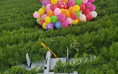 Un engin en forme de drones en provenance de la bande de Gaza, porté par des dizaines de ballons d'hélium, a atterri dans un champ de carottes au sud d'Israël le 6 janvier  2019. (Autorisation)