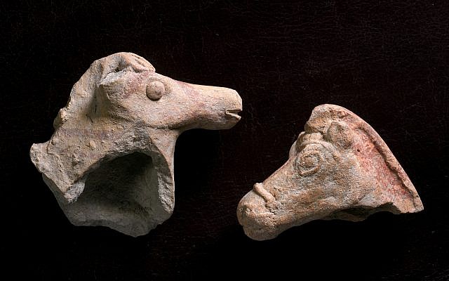 A gauche : Une figurine représentant un cheval vieille de 2800 ans découverte près de Beit Shean . A droite : Une autre figurine d'équidé ancienne de 2200 ans trouvée après les pluies à Tel Akko. (Crédit : Clara Amit, Autorité israélienne des antiquités)