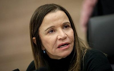 Shelly Yachimovich dirige une réunion de la Commission de contrôle de l'État à la Knesset, le 31 décembre 2018. (Noam Revkin Fenton/Flash90)