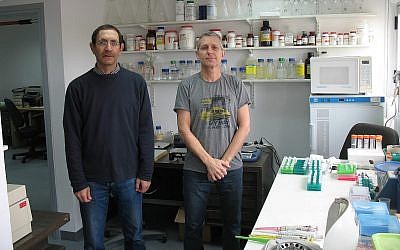 Ilan Morad, PDG et fondateur de la start-up Biotechnologies évolution accélérée Ltd. (AEBi), à droite, avec Hanan Itzhaki, le responsable scientifique, dans leur laboratoire. (Photo personnelle)