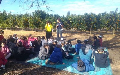 Des olim français fêtent Tou bichvat avec Hashomer Hachadash; (Crédit ; Hashomer Hachadash)