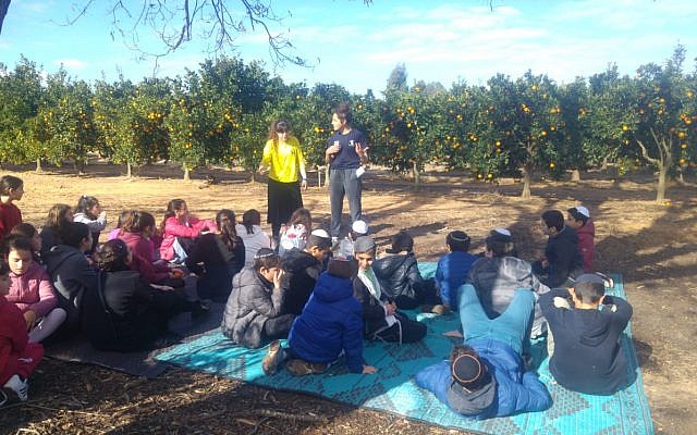 Des olim français fêtent Tou bichvat avec Hashomer Hachadash; (Crédit ; Hashomer Hachadash) Des olim français fêtent Tou bichvat avec Hashomer Hachadash; (Crédit ; Hashomer Hachadash)