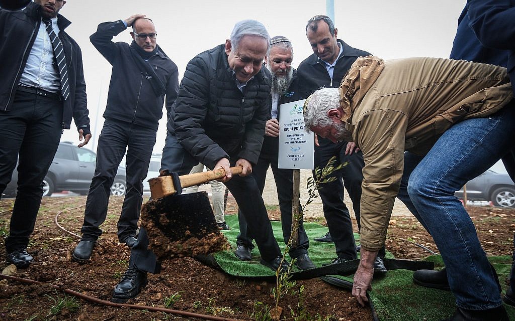 Le Premier ministre Benjamin Netanyahu plante un olivier dans la zone de Netiv Haavot, dans l'implantation d'Elazar en Cisjordanie, le 28 janvier 2019. (Marc Israel Sellem/POOL)
