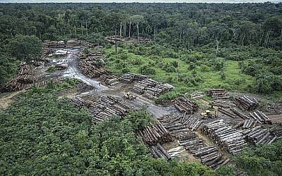 Cette photo du 8 mai 2018 publiée par l'Institut brésilien de l'environnement et des ressources naturelles renouvelables (Ibama) montre une zone illégalement déboisée sur des terres indigènes Pirititi alors que des agents Ibama inspectent l'état de Roraima dans le bassin amazonien du Brésil. (Felipe Werneck/Ibama via AP)