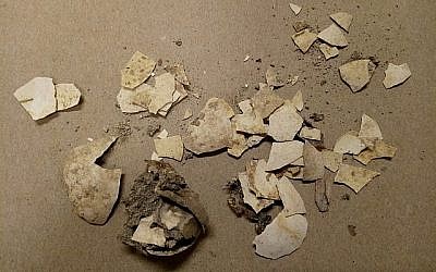 Les coquilles d'oeufs de 2600 ans découvertes dans la cité de David par la docteure Eilat Mazar. (Université de Bar-Ilan)