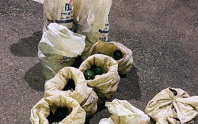 Les avocats présumés volés dans la vallée du Jourdain, avril 2019. (Crédit : police israélienne)