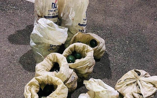Les avocats présumés volés dans la vallée du Jourdain, avril 2019. (Crédit : police israélienne) Les avocats présumés volés dans la vallée du Jourdain, avril 2019. (Crédit : police israélienne)