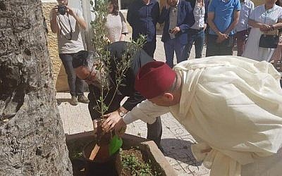 A l’initiative du collectif associatif de jeunes « Morocco L’Ghedd », des oliviers ont été plantés dans plusieurs villes ce 17 mai dans le cadre du projet « Plantons la Fraternité ». (Crédit photo : Ahmed Ghayat / Facebook)