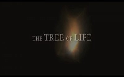 The Tree of Life, un film de Terrence Malick sur un résistant autrichien. (Crédit : capture d'écran YouTube)