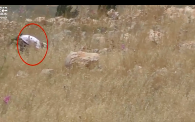 Une capture d'écran d'une vidéo de l'organisation de Défense de droits de l'homme B'Tselem. (Capture d'écran : YouTube)