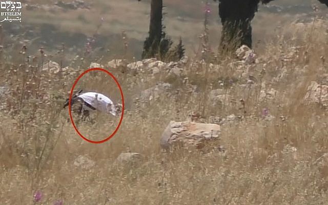 Capture d'écran d'une vidéo qui montrerait un soldat israélien en permission mettant le feu à un champ palestinien dans le nord de la Cisjordanie, le 17 mai 2019 (Capture d'écran : BTselem) Capture d'écran d'une vidéo qui montrerait un soldat israélien en permission mettant le feu à un champ palestinien dans le nord de la Cisjordanie, le 17 mai 2019 (Capture d'écran : BTselem)