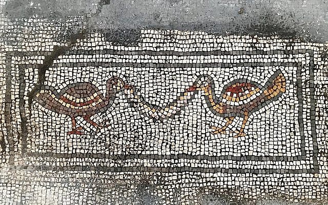 Détail d'une mosaïque découverte dans "l'église brûlée" du projet de fouilles Hippos-Sussita dans le parc national de Susita, été 2019. (Autorisation) Détail d'une mosaïque découverte dans "l'église brûlée" du projet de fouilles Hippos-Sussita dans le parc national de Susita, été 2019. (Autorisation)