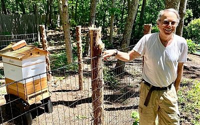 Marty Markowitz montrant son rucher dans la cour de son jardin de sa maison de Shouthampton. (Debra Nussbaum Cohen via JTA)