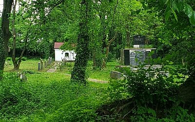 Le seul cimetière juif encore existant à Oswiecim, Pologne, mai 2019. (Matt Lebovic/The Times of Israel)