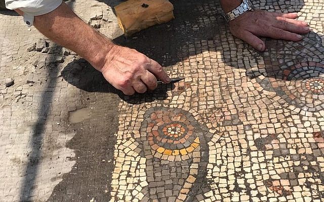 Détail d'une mosaïque découverte dans "l'église brûlée" du projet de fouilles Hippos-Sussita dans le parc national de Susita, été 2019. (Autorisation) Détail d'une mosaïque découverte dans "l'église brûlée" du projet de fouilles Hippos-Sussita dans le parc national de Susita, été 2019. (Autorisation)