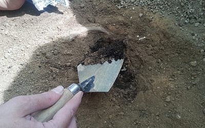 Un bénévole fait des fouilles à Khirbet a-Rai, que les archéologues ont identifié comme étant la ville biblique de Zikag (Crédit : Equipe des fouilles de Khirbet a-Rai)