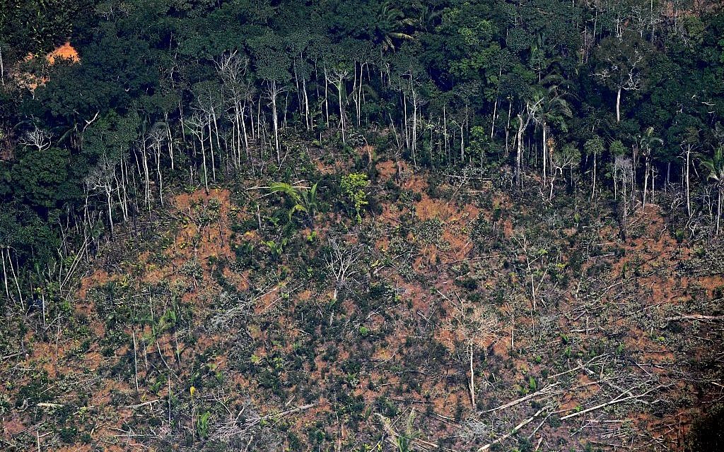Une photo aérienne montrant une zone de déforestation dans la forêt amazonienne, à proximité d'un secteur affecté par les incendies, à 65 kilomètres environ de Porto Velho, dans le nord du Brésil, le 23 août 2019 (Crédit : CARL DE SOUZA / AFP)