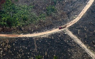 Vue aérienne de la de la forêt amazonienne brûlée, dans la région de Boca do Acre, au nord-ouest du Brésil, le 24 août 2019 (Crédit : LULA SAMPAIO / AFP)