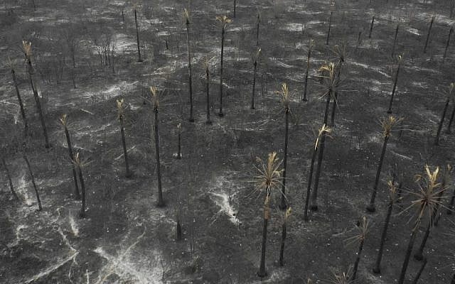 Vue aérienne des dégâts causés par les feux de forêts en Amazonie, au parc national Otuquis,, en Bolivie, le 26 août 2019. (Crédit : Pablo COZZAGLIO / AFP)