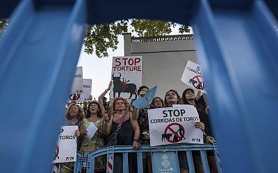Manifestation anti-corrida à Palma de Majorque, le 9 août 2019. (Crédit : AP Photo/Atienza)
