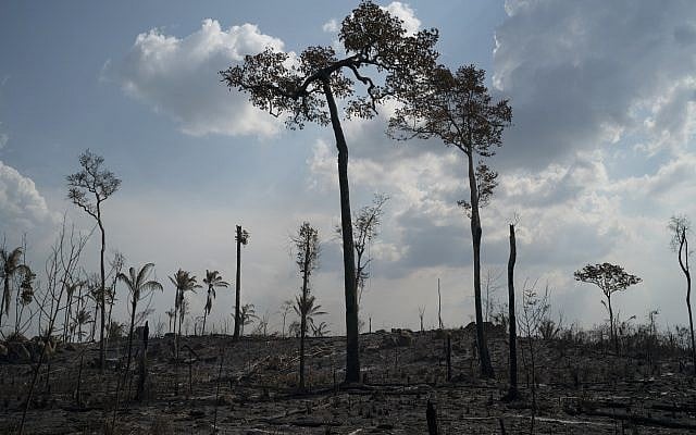 Des arbres détruits par le feu en Amazonie, dans la région de Novo Progresso, au Brésil, le 25 août 2019. (Crédit : AFP /Leo Correa)