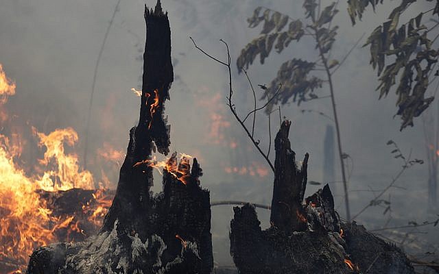 Des arbres détruits par le feu en Amazonie, dans la ville de Port Velho, au Brésil, le 26 août 2019. (Crédit : /Eraldo Peres)