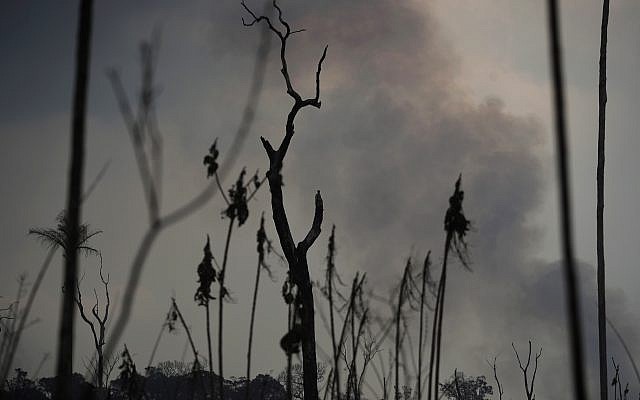 Des arbres détruits par le feu en Amazonie, dans la ville de Port Velho, au Brésil, le 26 août 2019. (Crédit : /Eraldo Peres)