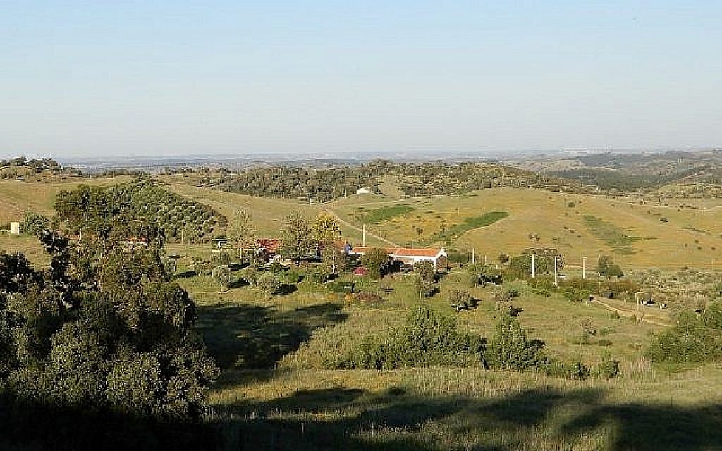 La région d'Alentejo, rurale et isolée, au sud du Portugal, a attiré de nombreux Israéliens et européens grâce à des prix bas et à l'acceptation de styles de vie alternatifs. Photo prise le 14 mai 2019  (Crédit : Melanie Lidman/Times of Israel)
