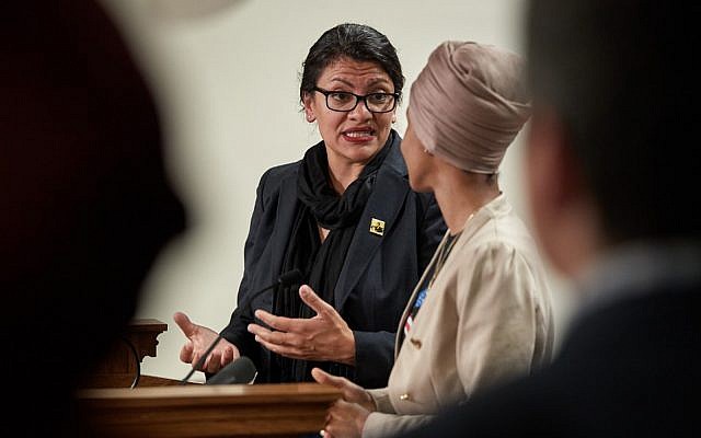 La représentante Rashida Tlaibau cours d'une conférence de presse à St Paul, dans le Minnesota, le 19 août 2019 (Crédit : Adam Bettcher/Getty Image North America/AFP) La représentante Rashida Tlaibau cours d'une conférence de presse à St Paul, dans le Minnesota, le 19 août 2019 (Crédit : Adam Bettcher/Getty Image North America/AFP)