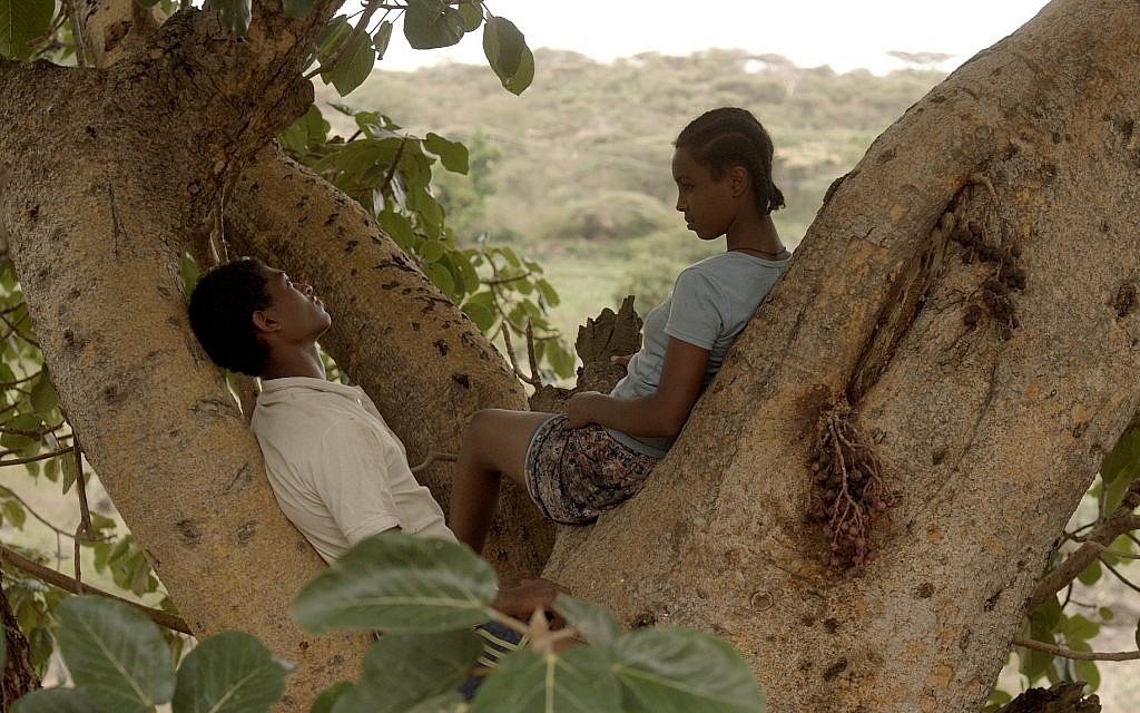Une capture d'écran du film "Le Figuier" par le réalisateur israélo-éthiopien Aalam-Warqe Davidian. (Crédit: Menemsha Films) Une capture d'écran du film "Le Figuier" par le réalisateur israélo-éthiopien Aalam-Warqe Davidian. (Crédit: Menemsha Films)