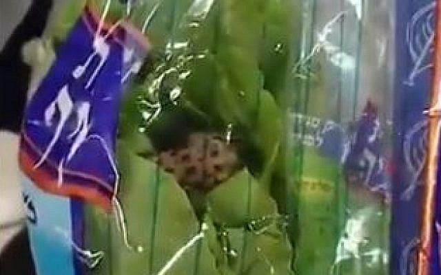 Une grenouille a été retrouvée dans un sac de laitue casher dans un magasin israélien, le 31 juillet 2019. (Capture d'écran : twitter) Une grenouille a été retrouvée dans un sac de laitue casher dans un magasin israélien, le 31 juillet 2019. (Capture d'écran : twitter)