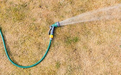 Illustration : arrosage d'un sol desséché. (Crédit : iStock)