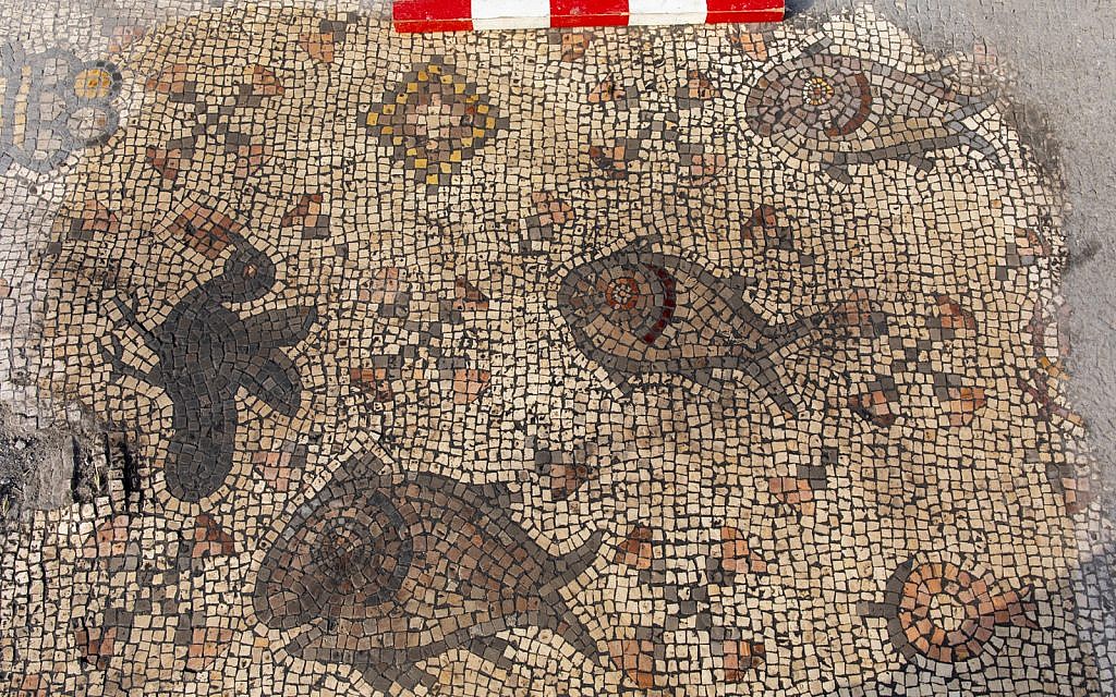Une partie d'une mosaïque de "l'Eglise brûlée" sur le projet de Fouilles Hippos-Sussita au parc national Susita, été 2019. (Crédit : Michael Eisenberg)