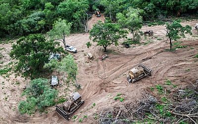 Déboisement de la forêt tropicale humide du nord de l'Argentine pour la société Cresud et préparation en vue de son utilisation comme pâturage. (Greenpeace)