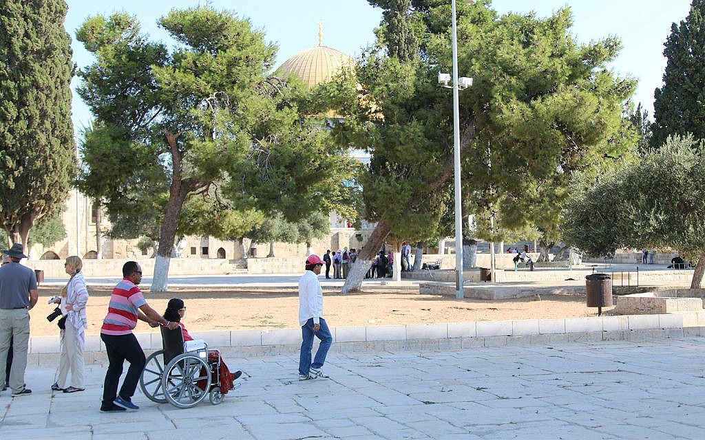 Les personnes en fauteuil roulant peuvent arpenter de toute part l'esplanade du mont du Temple (Crédit : Shmuel Bar-Am)