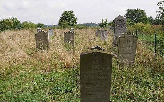 Le cimetière juif de Zalewo ((Crédit : CC BY-SA WiktorN.PL/Wikimedia Commons) Le cimetière juif de Zalewo ((Crédit : CC BY-SA WiktorN.PL/Wikimedia Commons)