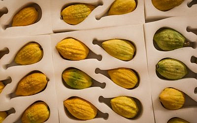 A titre d'illustration : Etrogs en vente au marché des "Quatre Espèces" à Jérusalem, le 13 octobre 2016. (Sebi Berens/Flash90)