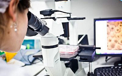 Une chercheuse travaillant dans le laboratoire de Kadimasterm à Ness Ziona (Hagit Stavinsky)