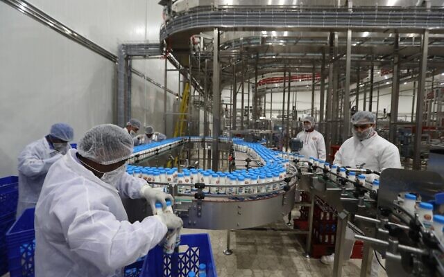 Mise en bouteille du lait dans une laiterie du Qatar, le 26 octobre 2019. (Crédit : KARIM JAAFAR / AFP)