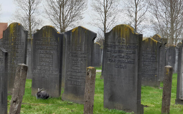 Un cimetière juif à Haarlem aux Pays-Bas, le 8 mars 2019. (Cnaan Liphshiz via JTA) Un cimetière juif à Haarlem aux Pays-Bas, le 8 mars 2019. (Cnaan Liphshiz via JTA)