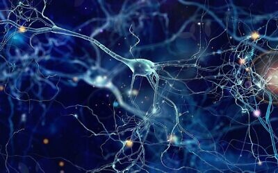 Illustration de neurones. (Crédit : whitehoune; iStock by Getty Images)