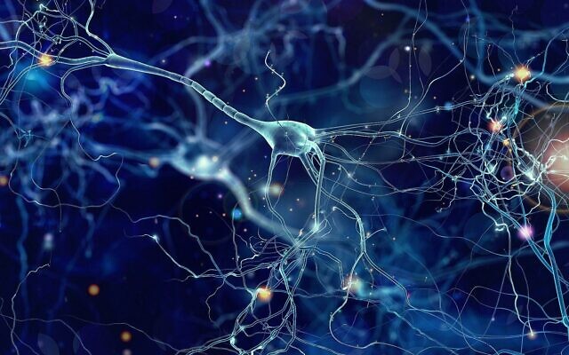 Illustration de neurones. (Crédit : whitehoune; iStock by Getty Images)